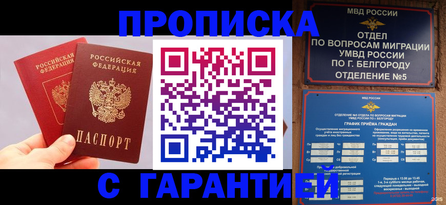 прописка 2025 в Бородино